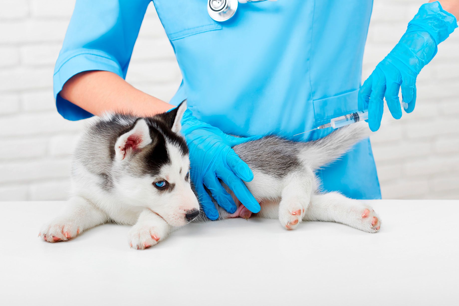 Odontologia Landing Image